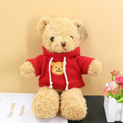 Teddy bear sweater bear creative hu..