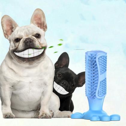 Dog Chew Toothbrush Teeth Cleaning ..