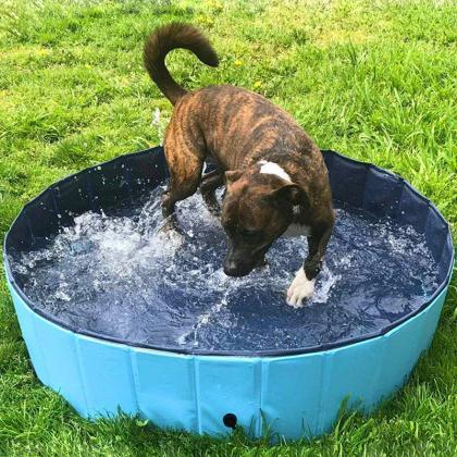 Portable Pet Dog Pool, Collapsible..