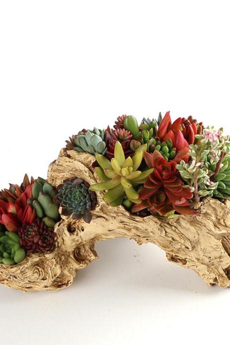 Home Decoration Supplies Arch-Shaped Succulent Flower Pots Hand-Painted Resin Large-Caliber Plant Potted Flower Pots