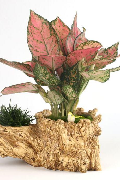 Home Decoration Succulent Flower Pot New Product Creative Retro Pin Resin Micro landscape Flower Pot